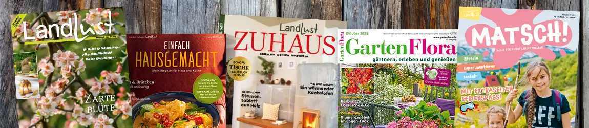 Zeitschriften Panorama